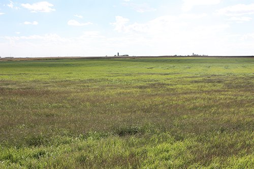 Property photo 35 - LAND AUCTION, 3255+/- Acres offered in 13 Tracts